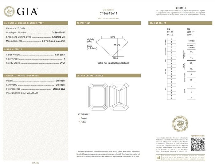 2 pcs Diamant  (Natur)  - 201 ct - F - VVS1 VVS2 - Gemological Institute of America (GIA)