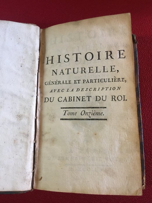 de Buffon - Histoire Naturelle des Oiseaux Tomes 3 10 et 11 - 1772-1780