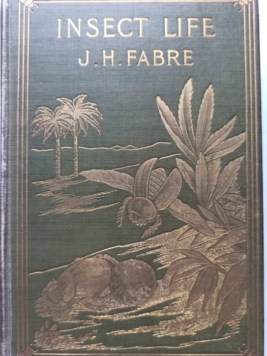 J.H. Fabre/M. Prendergast Parker - Insect life: souvenirs of a naturalist - 1901