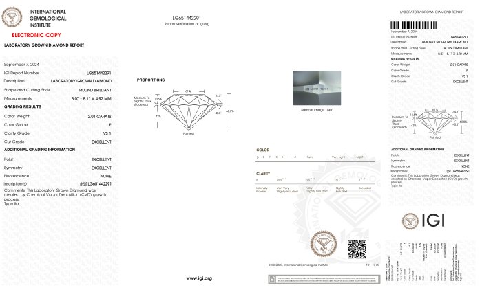 Ingen mindstepris - Øreringe - 18 kraat Hvidguld -  4.02ct. tw. Diamant (Laboratoriedyrket) - Runde F-VS1