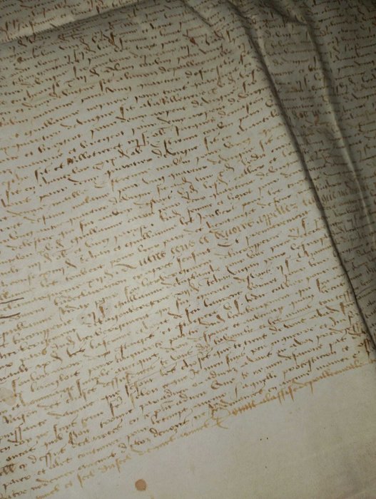 Unconnu - Parchemin manuscrit Français XV siècle... coulon (pigeon voyageur?) - 1462