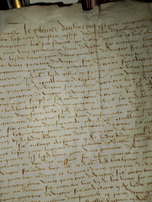 Unconnu - Parchemin manuscrit Français XV siècle... coulon (pigeon voyageur?) - 1462