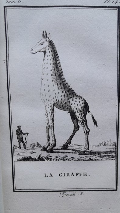 Buffon-Lacépède - Histoire naturelle. Les mammifères / Discours sur les animaux, tables - 1798