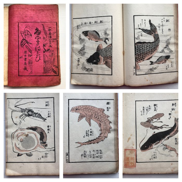 Anon - 山家早ままび 魚全 : Japan sea animals. - 1900