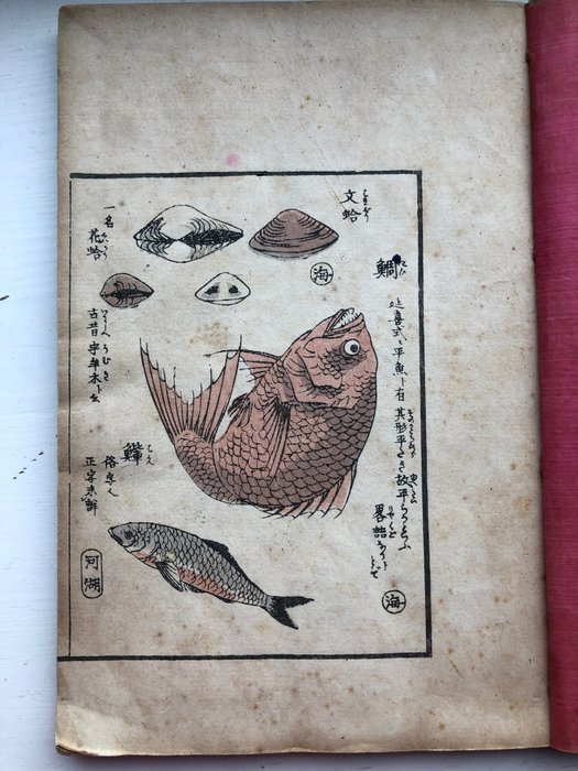 Anon - 山家早ままび 魚全 : Japan sea animals. - 1900