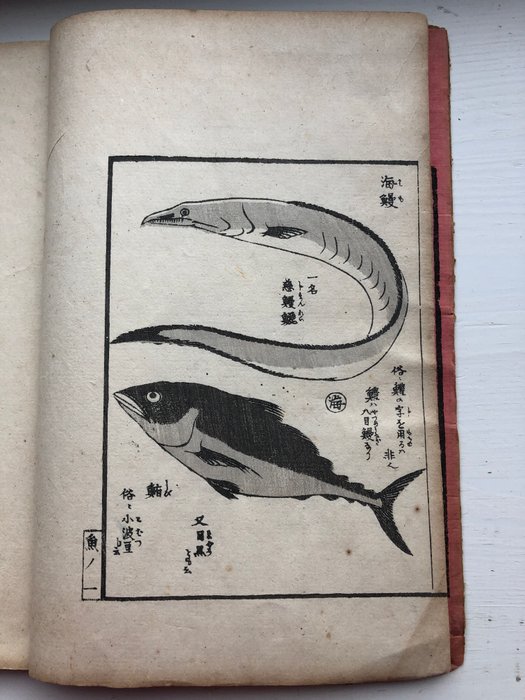 Anon - 山家早ままび 魚全 : Japan sea animals. - 1900