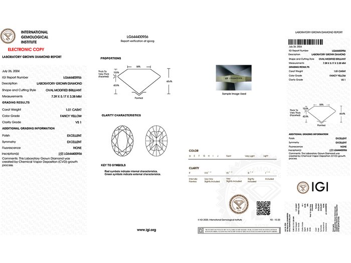 Øreringe - 14 karat Hvidguld -  2.02ct. tw. Gul Diamant (Laboratoriedyrket diamant i fancy farver)