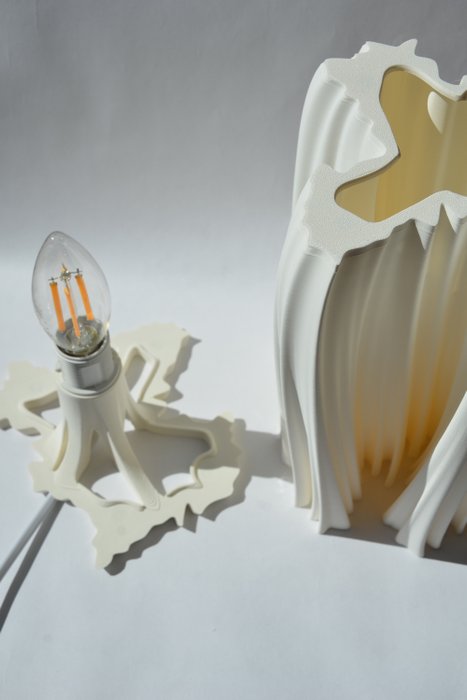 Michael Jasinski - Bordlampe - S2 - Biopolymer