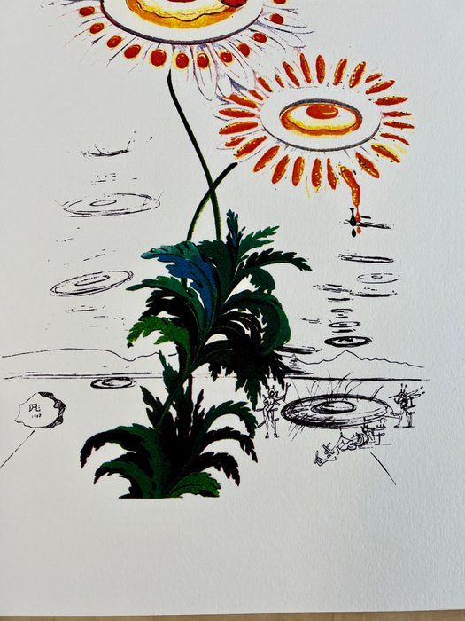 Salvador Dali (1904-1989) - Fried Egg Daisies - Lithograph 1979