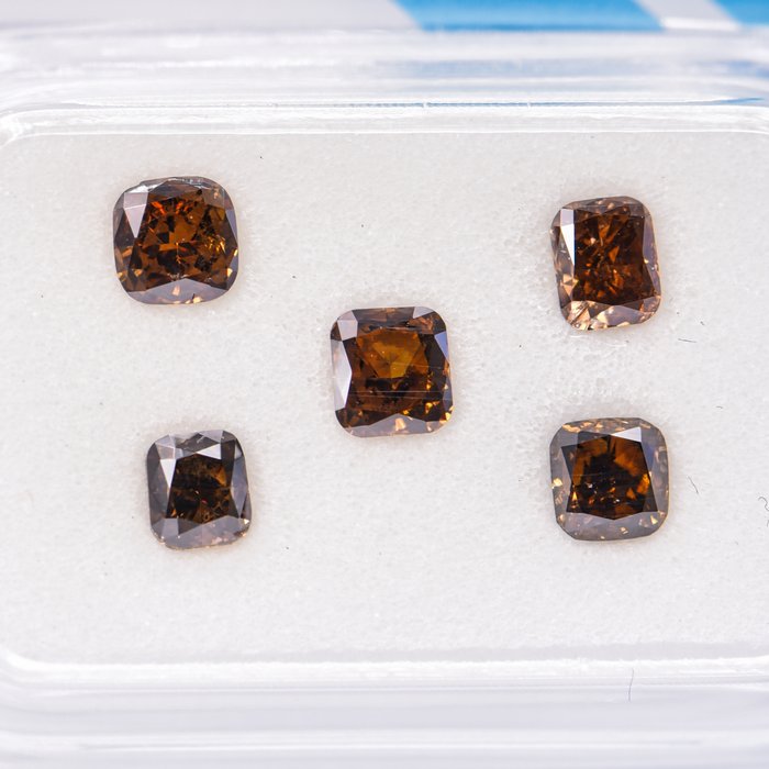 Ingen mindstepris - 5 pcs Diamant  (Naturfarvet)  - 1.10 ct - Pude - Fancy dark, Fancy deep Brun Gul - SI1, VS2 - International Gemological Institute (IGI)