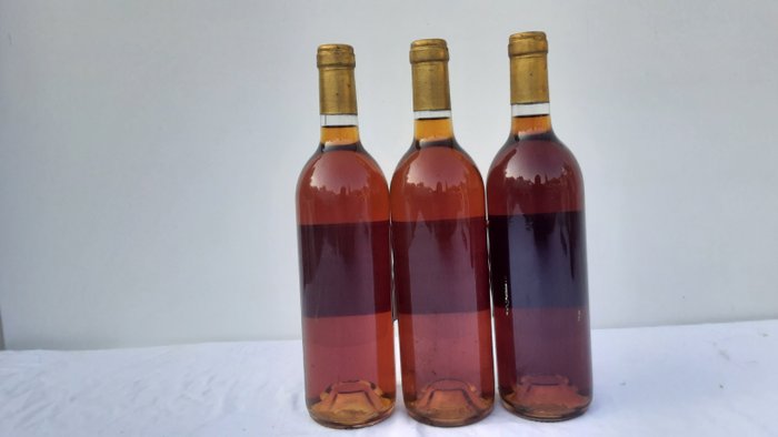 1990 Château Pascaud Villefranche - Sauternes - 3 Flasker (075 L)