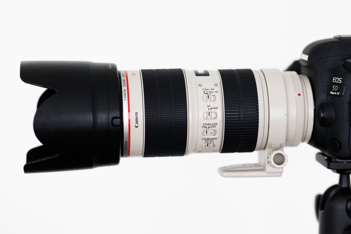 Canon EF 70-200mm f/28L IS II USM Telelinse