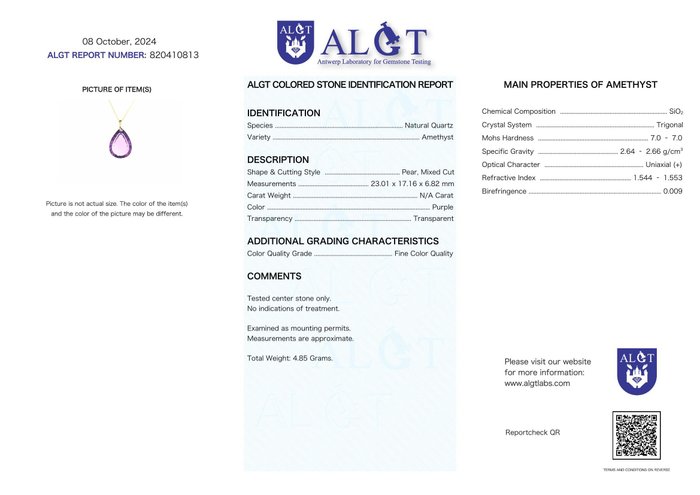 Ingen mindstepris - Halskæde med vedhæng - 18 kraat Gulguld Ametyst - ALGT Certificeret