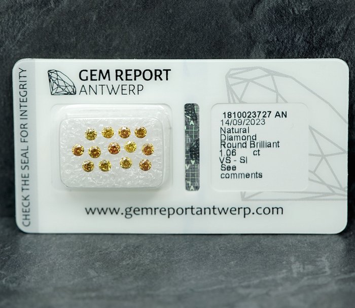 13 pcs Diamant  (Natur)  - 1.06 ct - SI1, VS1 - Gem Report Antwerp (GRA)