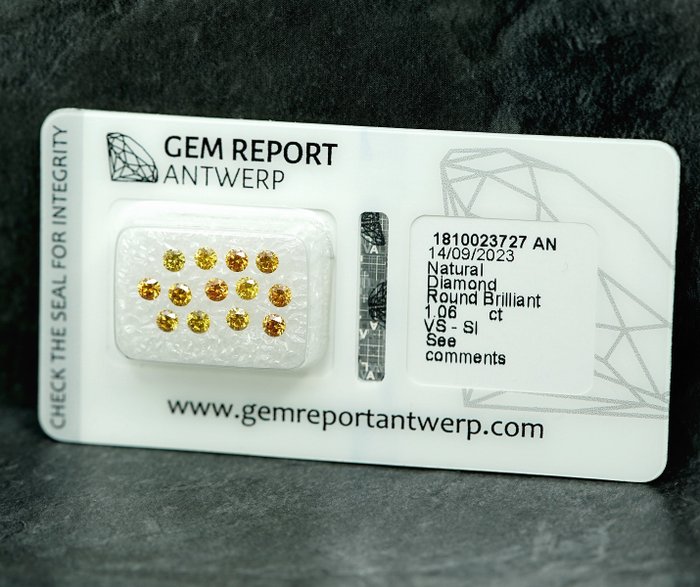 13 pcs Diamant  (Natur)  - 1.06 ct - SI1, VS1 - Gem Report Antwerp (GRA)