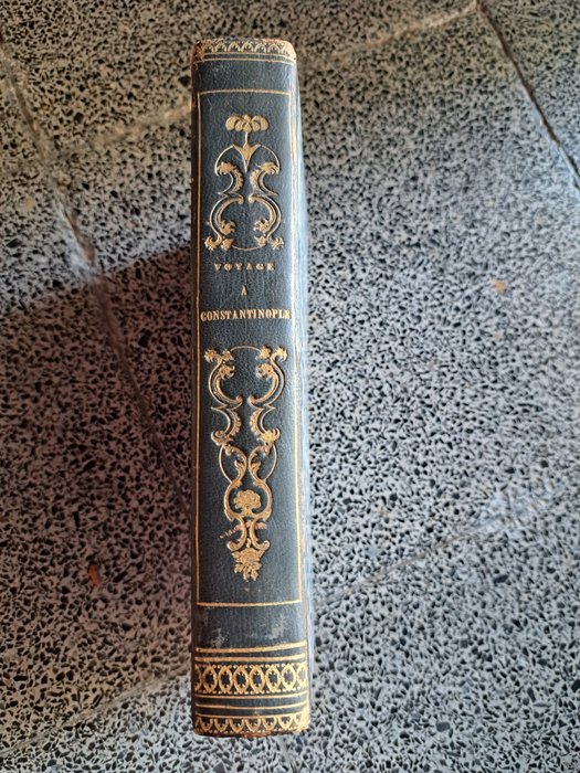 Baptistine Poujoulat - Voyage à Constantinople, dans l'Asie mineure, en Mésopotamie, à Palmyre, en Syrie, en Palestine - 1841