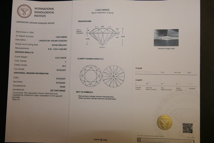 Øreringe - 18 kraat Gulguld -  4.08ct. tw. Diamant (Laboratoriedyrket)