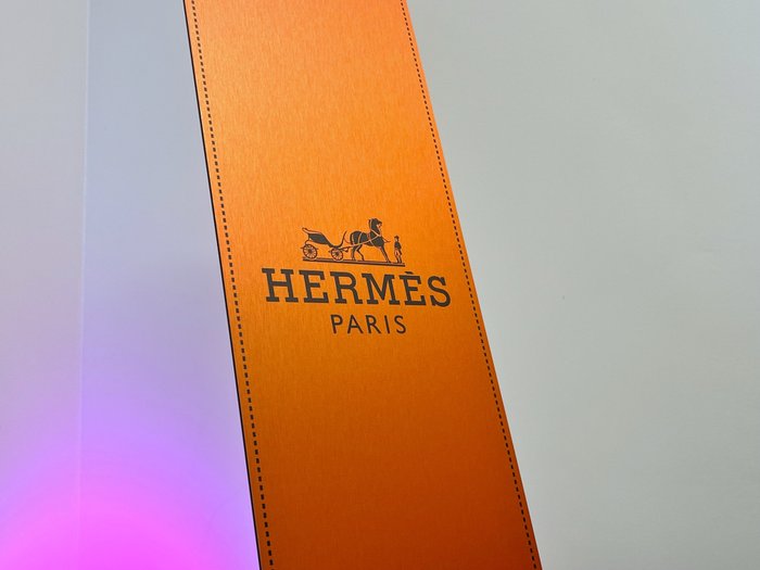 Suketchi - Hermès Skate Deck