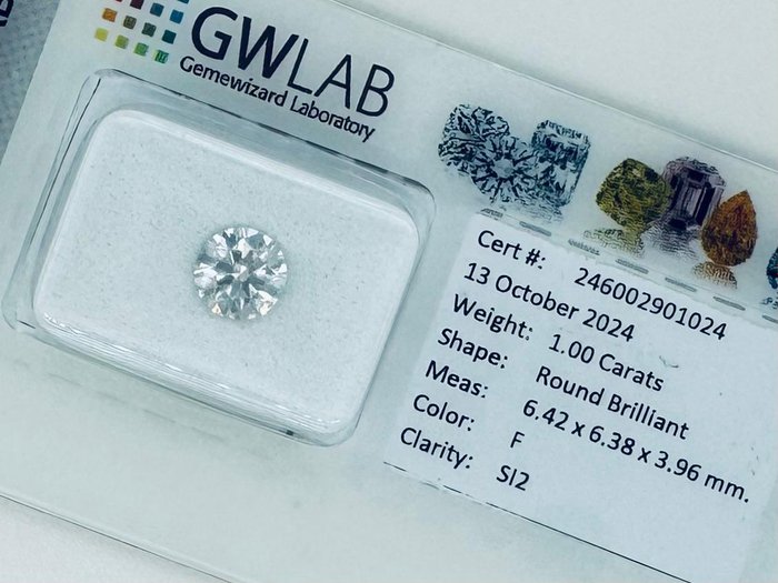 1 pcs Diamant  (Natur)  - 1.00 ct - Rund - F - SI2 - Gemewizard Gemological Laboratory (GWLab)