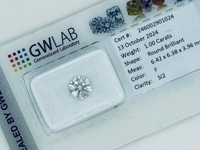 1 pcs Diamant  (Natur)  - 1.00 ct - Rund - F - SI2 - Gemewizard Gemological Laboratory (GWLab)