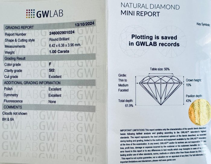 1 pcs Diamant  (Natur)  - 1.00 ct - Rund - F - SI2 - Gemewizard Gemological Laboratory (GWLab)