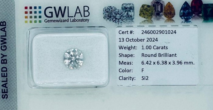 1 pcs Diamant  (Natur)  - 1.00 ct - Rund - F - SI2 - Gemewizard Gemological Laboratory (GWLab)