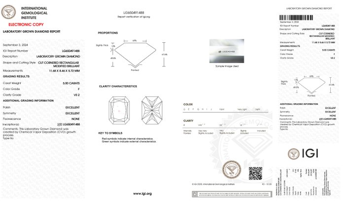 Ring - 18 kraat Hvidguld -  5.00ct. tw. Diamant (Laboratoriedyrket) - Radiant F-VS2