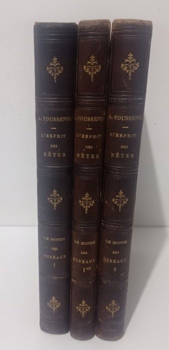 Toussenel - Ornithologie passionnelle. L’esprit des bêtes, le monde des oiseaux - 1859