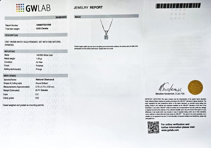 Halskæde med vedhæng - 14 karat Hvidguld -  0.71ct. tw. Diamant (Natur) - D-E / VS2