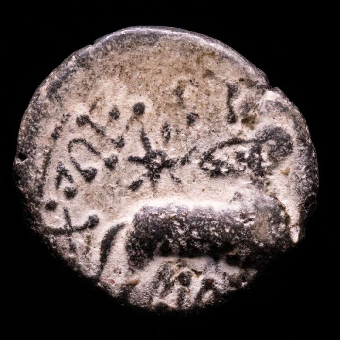 Seleukidernes rige, 312-63 f.Kr.. Lot consisting of eight (8) Æ (Unit) coins, mint of Antioch. Middle East, and at the height of its power included central Anatolia, the Levant, Mesopotamia,  (Ingen mindstepris)