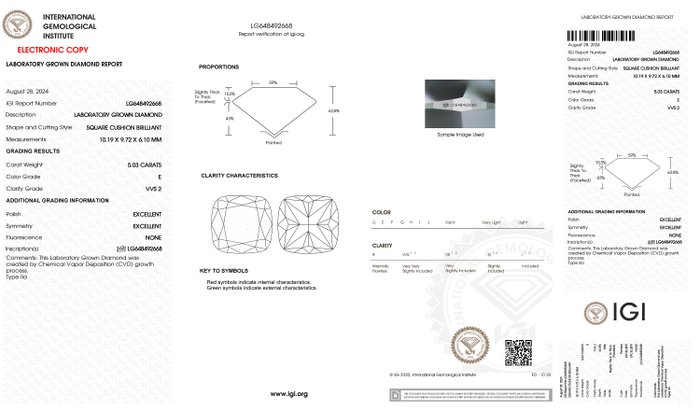 Ingen mindstepris - Ring - 18 kraat Hvidguld -  5.03ct. tw. Diamant (Laboratoriedyrket) - Sq. Pude E-VVS2