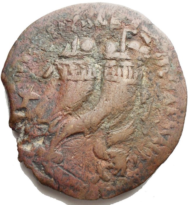 Ptolemæerriget Ptolemy VIII Euergetes II as King of Cyrenaica (163-145 BC) Drachm - very rare