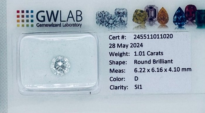 1 pcs Diamant  (Natur)  - 1.01 ct - Rund - D (farveløs) - SI1 - Gemewizard Gemological Laboratory (GWLab)