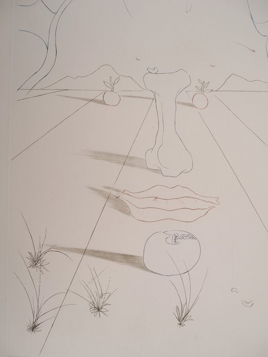 Salvador Dali (1904-1989) - Visage surréaliste