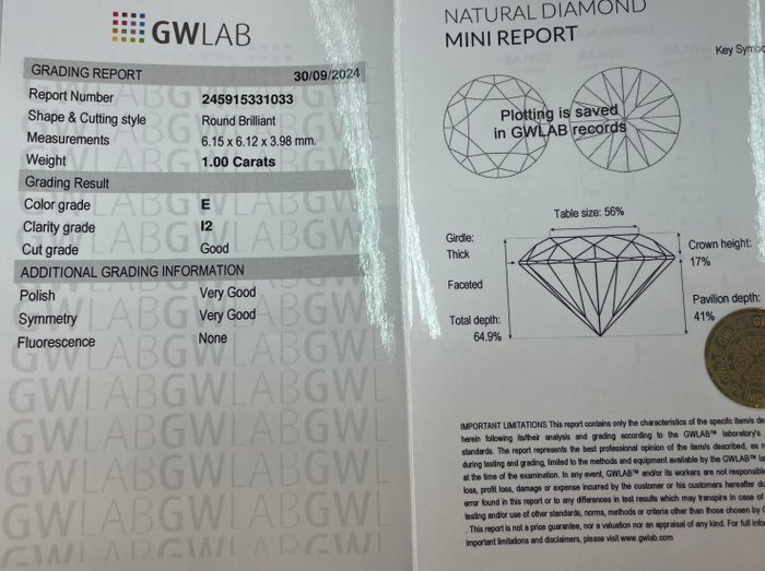 Ingen mindstepris - 1 pcs Diamant  (Natur)  - 1.00 ct - Rund - E - I2 - Gemewizard Gemological Laboratory (GWLab)