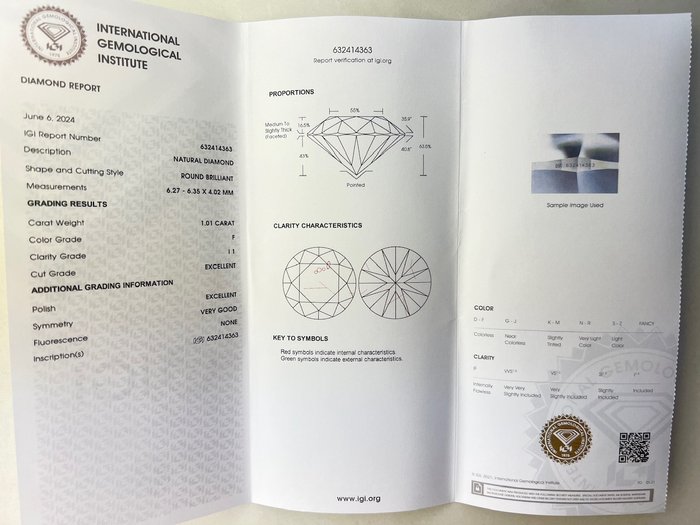 Ingen mindstepris - 1 pcs Diamant  (Natur)  - 1.01 ct - Rund - F - I1 - International Gemological Institute (IGI)