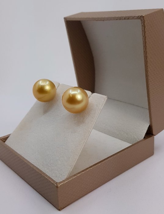 Øreringe - 14 karat Gulguld - 12x13mm South Sea Pearls