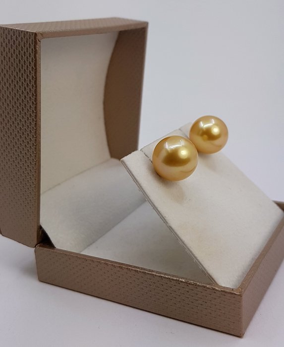 Øreringe - 14 karat Gulguld - 12x13mm South Sea Pearls