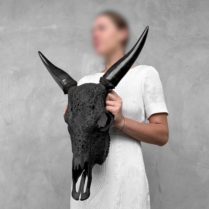 INGEN RESERVEPRIS - Håndskåret sort ko-kranie - Traditionelt balinesisk motiv Indgraveret kranie - Bos taurus - 58 cm - 47 cm - 16 cm- Ikke-CITES arter