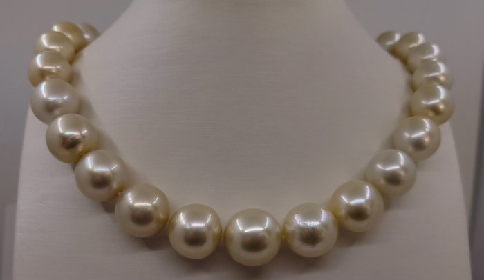 Ingen mindstepris - Halskæde KÆMPE STØRRELSE - PSL-certificerede Golden South Sea Pearls - 12,0x16,9 mm