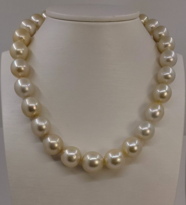 Ingen mindstepris - Halskæde KÆMPE STØRRELSE - PSL-certificerede Golden South Sea Pearls - 12,0x16,9 mm