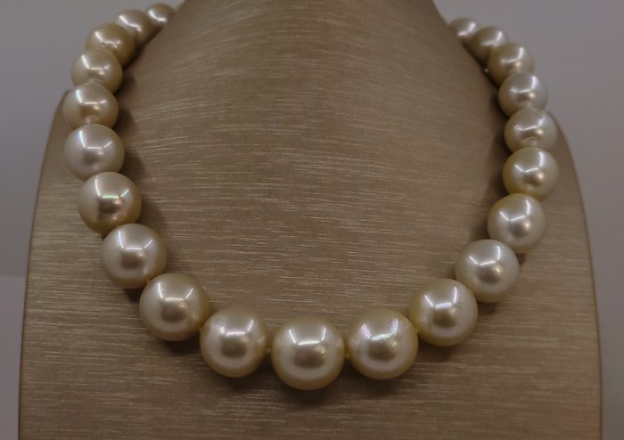 Ingen mindstepris - Halskæde KÆMPE STØRRELSE - PSL-certificerede Golden South Sea Pearls - 12,0x16,9 mm