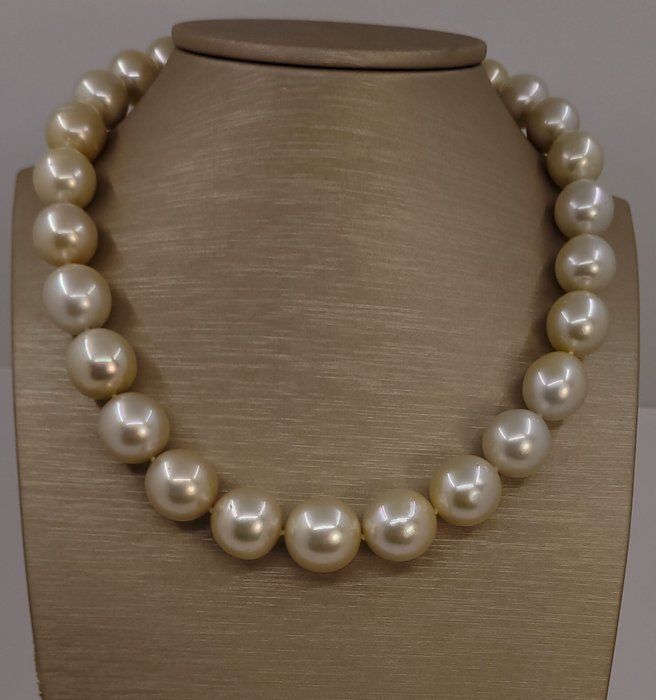 Ingen mindstepris - Halskæde KÆMPE STØRRELSE - PSL-certificerede Golden South Sea Pearls - 12,0x16,9 mm