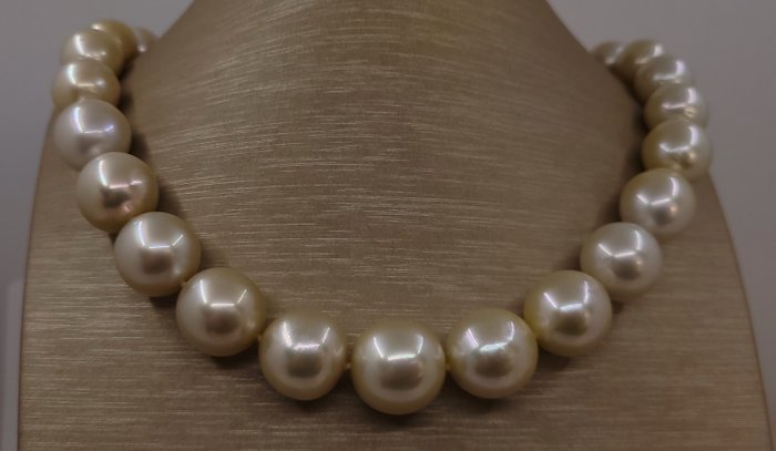 Ingen mindstepris - Halskæde KÆMPE STØRRELSE - PSL-certificerede Golden South Sea Pearls - 12,0x16,9 mm