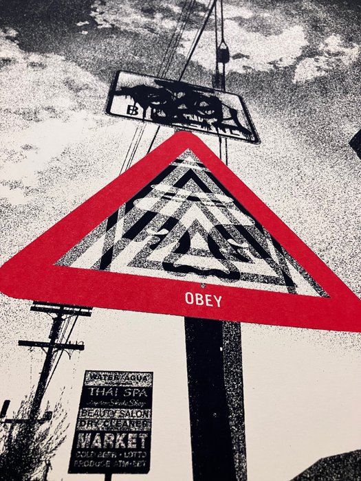 Shepard Fairey (OBEY) (1970) - Warning Signs