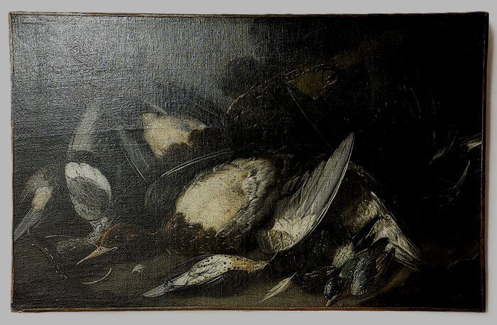 Joannes Fijt Antwerp (1611-1661), Circle of - Natura Morta con cacciagione