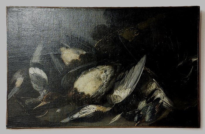 Joannes Fijt Antwerp (1611-1661), Circle of - Natura Morta con cacciagione