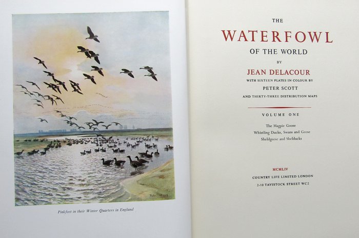 Jean Delacour  Peter Scott - The Waterfowl of the World - 1954-1964