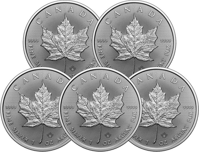 5 Troy Ounce - Sølv 999 - Maple Leaf 2025 - 155,5 gram - fine silver