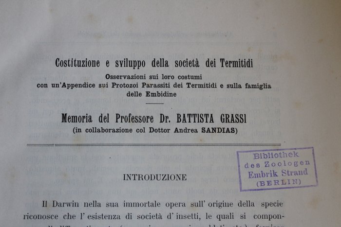 B. Grassi and A. Sandias - "Società dei Termitidi" - 1913